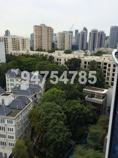 Proximo (D10), Apartment #61589292